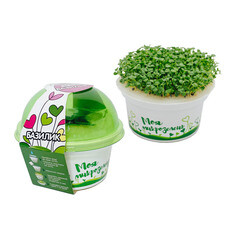 Набор для выращивания микрозелень Базилик Здоровья клад 3 г