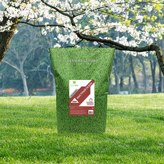 Семена газонной травы Настоящий быстрый Газон Сити 10 кг - фото 2