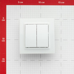 Выключатель EKF Минск двухклавишный встраиваемый белый (ERV10-023-10) - фото 2
