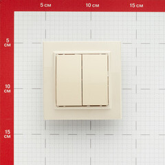 Выключатель EKF Минск двухклавишный встраиваемый бежевый (ERV10-023-20) - фото 4