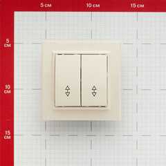 Переключатель EKF Минск двухклавишный встраиваемый бежевый (ERV10-026-20) - фото 3
