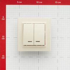 Выключатель EKF Минск двухклавишный встраиваемый бежевый с подсветкой (ERV10-123-20) - фото 2
