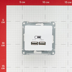 Розетка USB Systeme Electric Glossa встраиваемая белая 2хUSB-A (GSL000133) - фото 2
