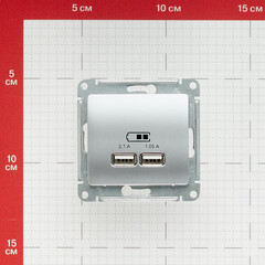 Розетка USB Systeme Electric Glossa встраиваемая алюминий 2хUSB-A (GSL000333) - фото 3