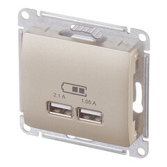 Розетка USB Systeme Electric Glossa встраиваемая титан 2хUSB-A (GSL000433) - фото 2