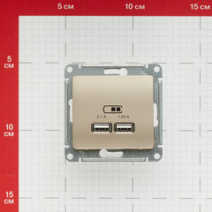 Розетка USB Systeme Electric Glossa встраиваемая титан 2хUSB-A (GSL000433) - фото 4