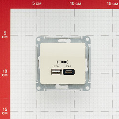 Розетка USB Systeme Electric Glossa встраиваемая бежевая USB-A/ Type-C (GSL000239) - фото 2