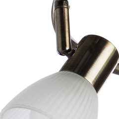 Спот потолочный Arte Lamp Parry E14 120 Вт 6 кв.м бронза IP20 (A5062PL-3AB) - фото 3