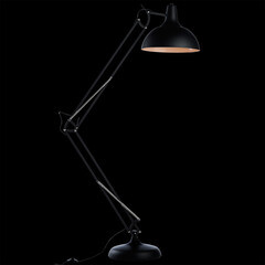 Торшер Arte Lamp E27 60 Вт черный IP20 (A2487PN-1BK) - фото 2