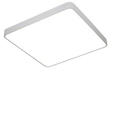 Светильник светодиодный Arte Lamp Scena 2700-6500К 100 Вт 29 кв.м белый IP20 (A2669PL-1WH)