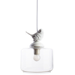 Светильник подвесной Arte Lamp Passero E27 40 Вт 2 кв.м (A8029SP-1WH) - фото 1