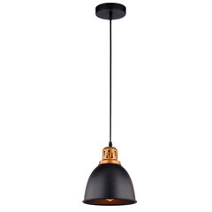 Изображение товара Светильник подвесной Arte Lamp Eurica E27 60 Вт 2 кв.м (A4245SP-1BK)