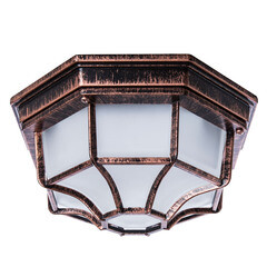 Светильник садово-парковый настенный Arte Lamp Pegasus античная медь E27 60 Вт IP44 (A3100PL-1AC) - фото 1