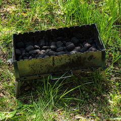 Уголь древесный березовый Boyscout 2,1 кг 2,5 л - фото 2