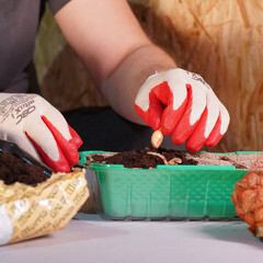 Перчатки х/б нефтемаслостойкие с одинарным гладким нитрильным латексом СВС Нитрикс 8 (М) (42-310) - фото 2