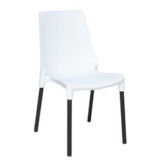 Изображение товара Стул Genius белый/черный (19664)