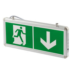 Световое табло аварийное Эра SSA-1 6500К 3 Вт 230-230 В IP20 (Б0044387) - фото 3