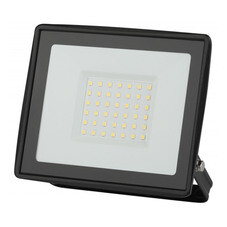 Прожектор светодиодный Эра LPR-02 6500К 50 Вт IP65 черный