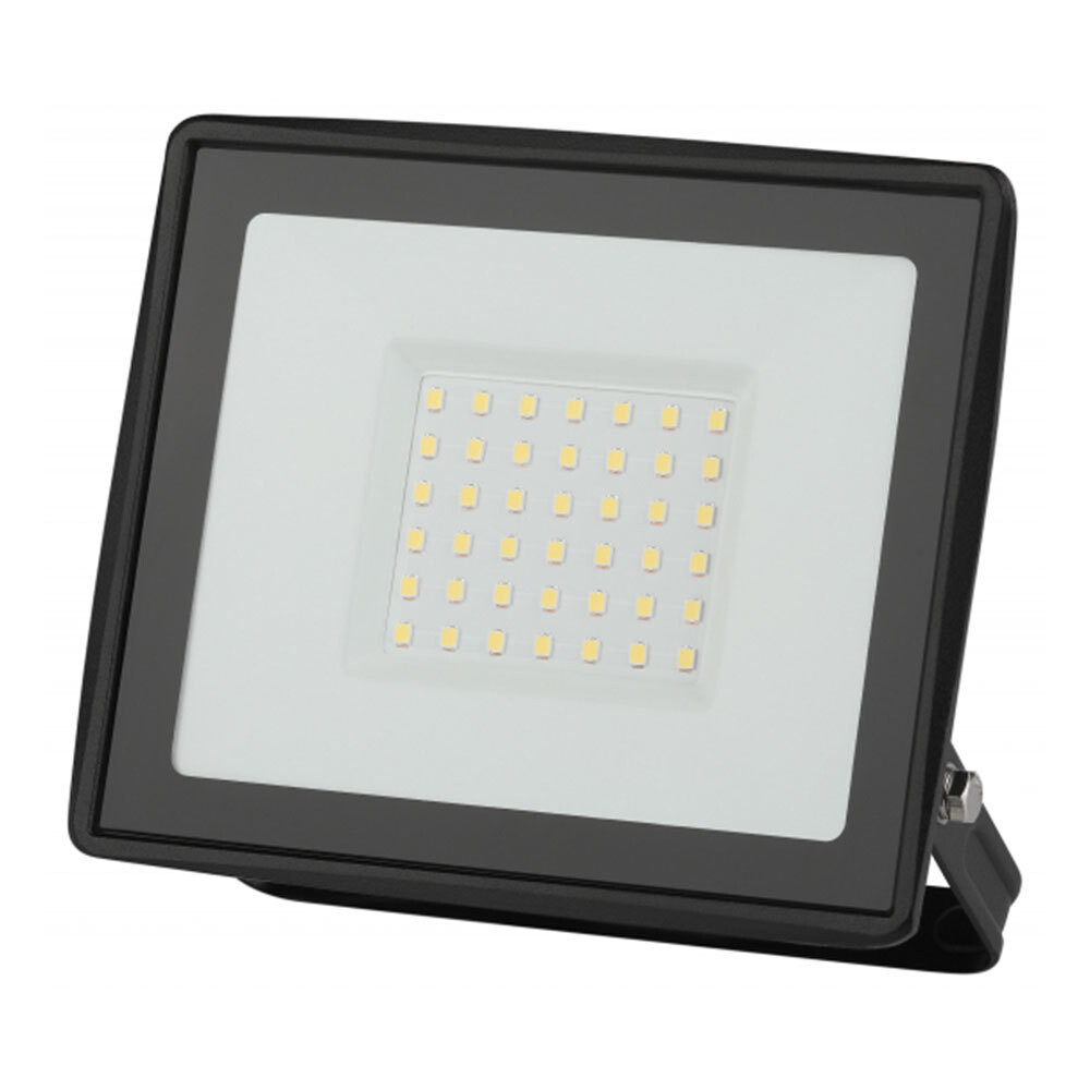 Изображение товара Прожектор светодиодный Эра LPR-02 6500К 50 Вт IP65 черный