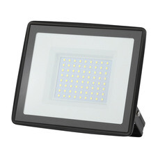 Прожектор светодиодный Эра LPR-02 6500К 100 Вт IP65 черный
