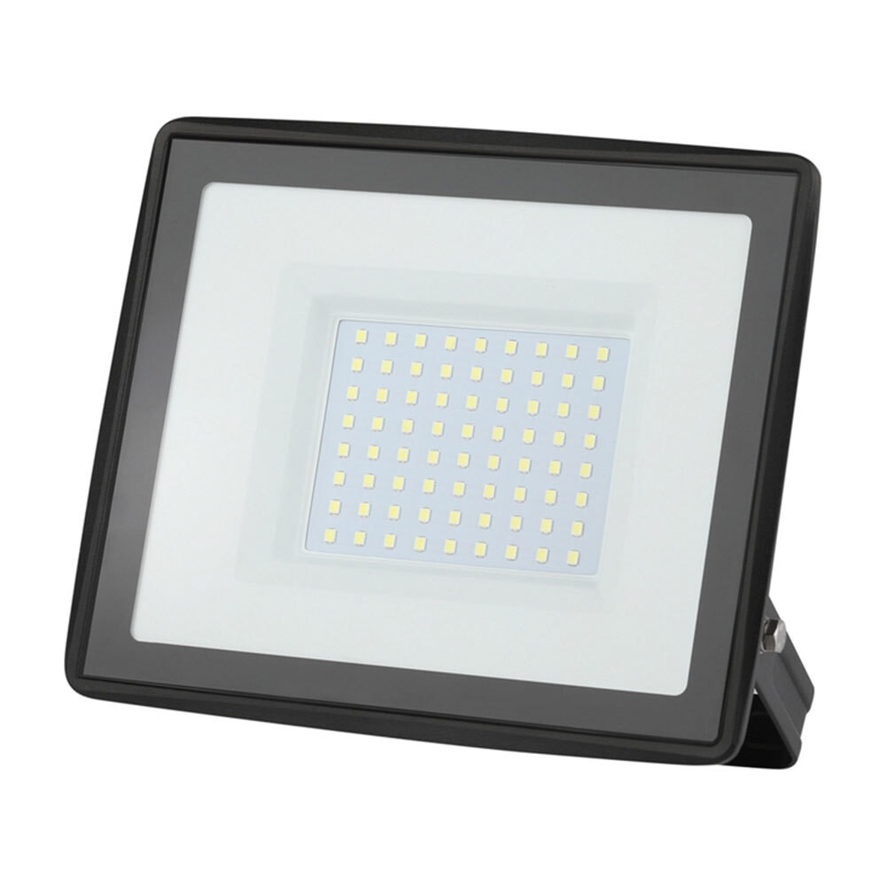 Изображение товара Прожектор светодиодный Эра LPR-02 100 Вт 6500К IP65 уличный для наружного освещения