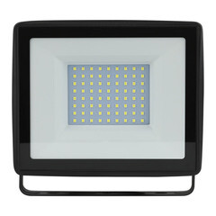 Прожектор светодиодный Эра LPR-02 6500К 100 Вт IP65 черный - фото 3