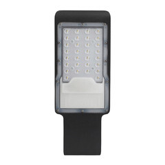 Светильник уличный светодиодный Эра 5000К 50 Вт консольный IP65 (SPP-503-0-50K-050) - фото 1