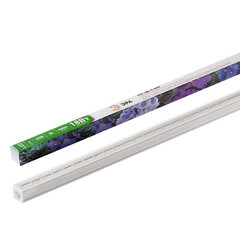 Изображение товара Светильник светодиодный для растений Эра Fito 4000К 18 Вт 1 кв.м IP20 (Б0049313)