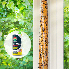 Средство для защиты от мух лента липкая Дэта Супер (4 шт.) - фото 4