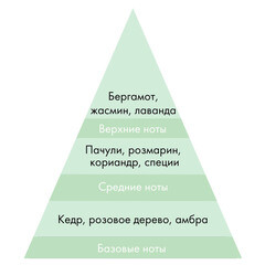 Аромадиффузор с палочками Stenova Home №81 100 мл - фото 3