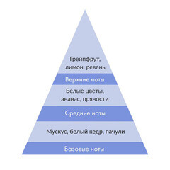 Аромадиффузор с палочками Stenova Home №21 100 мл - фото 3