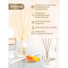 Аромадиффузор с палочками Breesal Aromа Sphere 1001 ночь 40 мл - фото 5