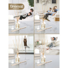 Аромадиффузор с палочками Breesal Aromа Sphere 1001 ночь 40 мл - фото 3