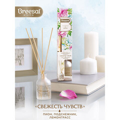 Аромадиффузор с палочками Breesal Aromа Sphere Свежесть чувств 40 мл - фото 5