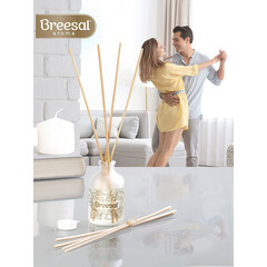 Аромадиффузор с палочками Breesal Aromа Sphere Свежесть чувств 40 мл - фото 2