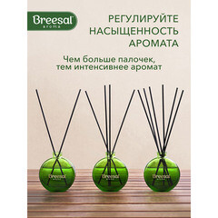 Аромадиффузор с палочками Breesal Aromatherapy Пробуждение чувственности 70 мл - фото 4