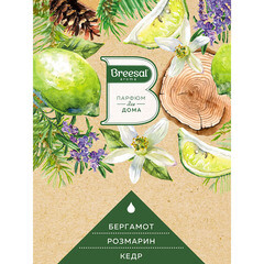 Аромадиффузор с палочками Breesal Aromatherapy Жизненная энергия 70 мл - фото 5