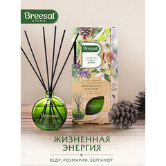 Аромадиффузор с палочками Breesal Aromatherapy Жизненная энергия 70 мл - фото 4