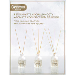 Аромадиффузор с палочками Breesal Aromа Sphere Изысканное наслаждение 40 мл - фото 4