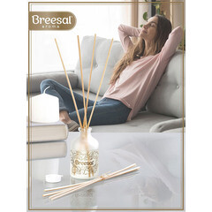 Аромадиффузор с палочками Breesal Aromа Sphere Нежный поцелуй 40 мл - фото 2