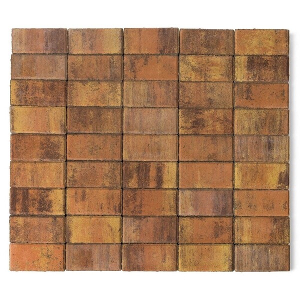 Плитка тротуарная моноформатная Прямоугольник 200х100х40 мм color mix ...