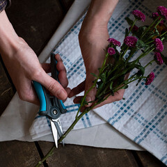 Ножницы для растений плоскостные Plantic Light (25262-01) - фото 6