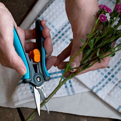 Ножницы для растений плоскостные Plantic Light (25262-01) - фото 5