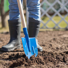 Лопата штыковая Павловская Заря стальная усиленная садовая с деревянным черенком 1200 мм (155653) - фото 2
