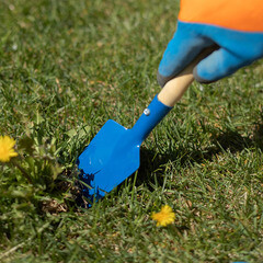 Совок садовый пикировочно-посадочный Павловская Заря (00000155563) с деревянным черенком - фото 3