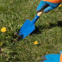 Совок садовый пикировочно-посадочный Павловская Заря (00000155563) с деревянным черенком - фото 4