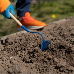 Мотыжка Павловская Заря 65 мм с деревянным черенком (00000156120) - фото 2