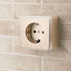 Розетка Werkel Gallant накладная шампань (a051038) - фото 6