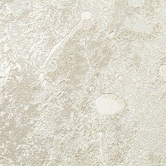 Обои компакт-винил на флизелиновой основе Monte Solaro Paint 9164-00 (1,06х10,05 м) - фото 4