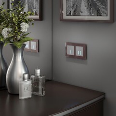 Умный выключатель сенсорный Werkel Minimir Home (a048323) одноклавишный скрытая установка серебро - фото 2